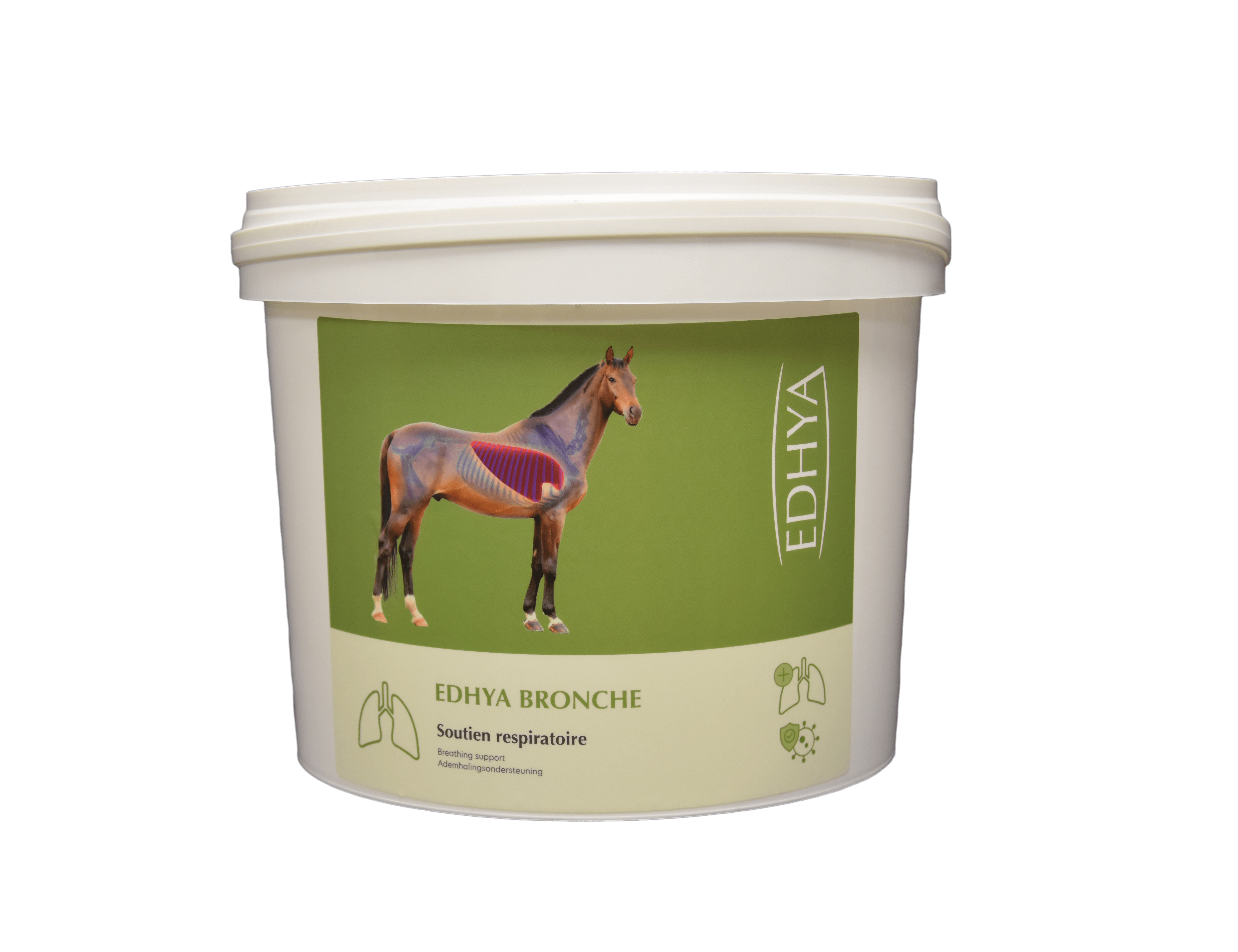 EDHYA BRONCHE