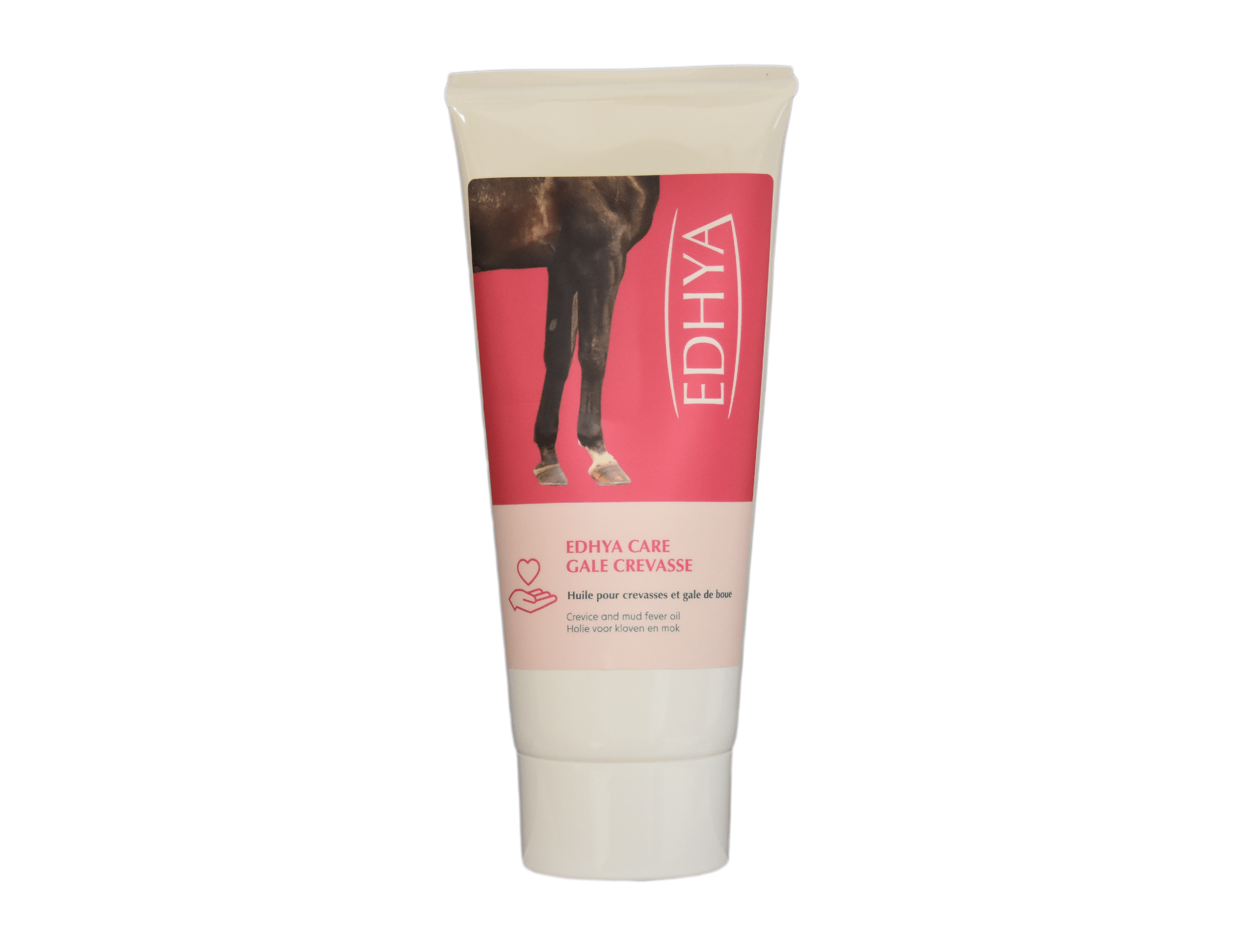 EDHYA CARE GALE CREVASSE