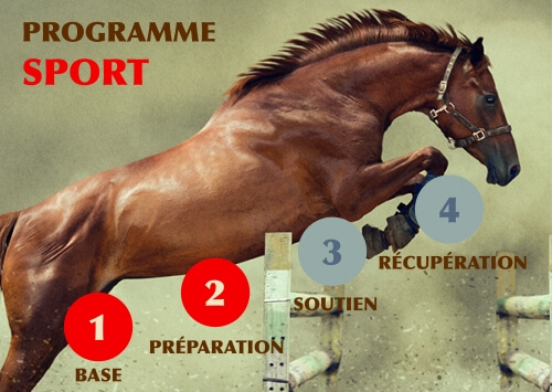 Phases 1 et 2 du programme nutritionnel EDHYA pour chevaux de sport